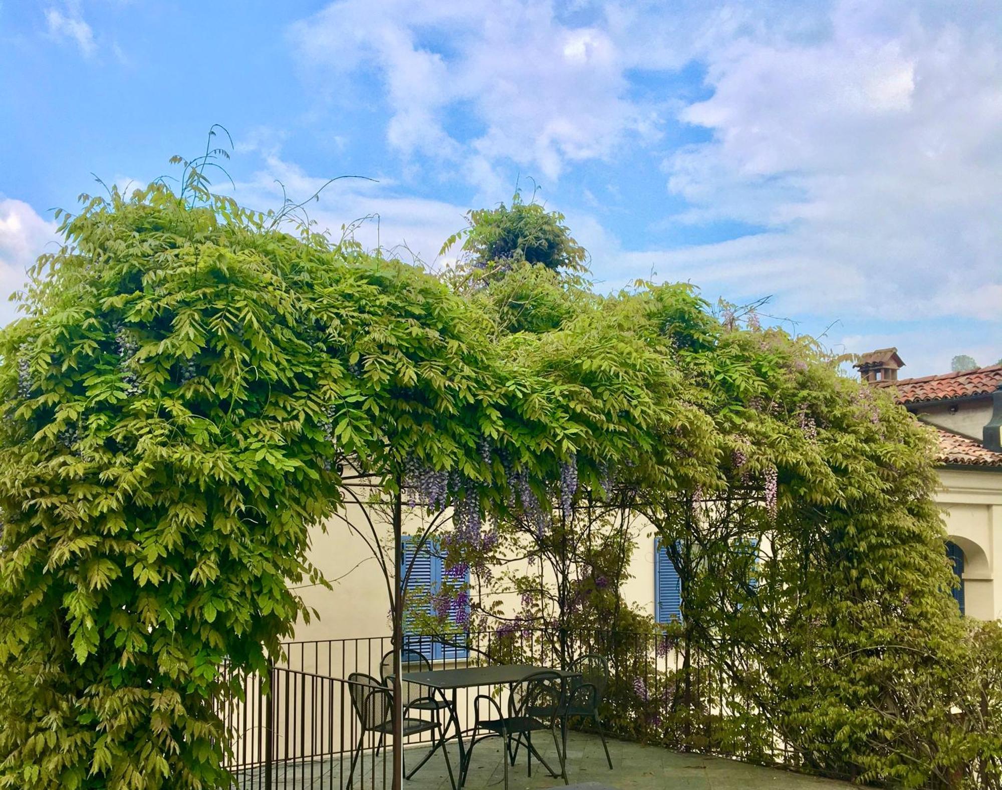 Marcarini Agriturismo 네비글레 외부 사진